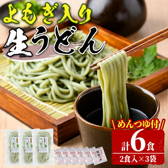 【ふるさと納税】北海道士別市 よもぎ入り生うどん (6人前・めんつゆ付き) うどん 麺 生麺 生めん 生タイプ ヨモギ 蓬冷蔵 小麦 粉 めんつゆ 【日の出食品】