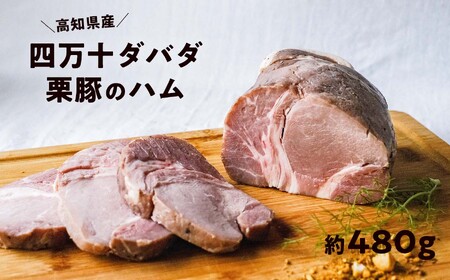 四万十ダバダ火振栗豚 ハム 約480g｜高知県産 ブランド豚 無添加 熟成 冷凍 国産 ブロック
