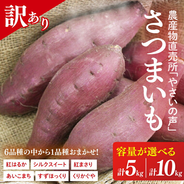 【ふるさと納税】【選べる】農産物直売所「やさいの声」★訳あり★さつまいも(品種おまかせ) ｜さつまいも 芋 サツマイモ 訳あり わけあり ワケアリ おまかせ 5kg 10kg 紅はるか シルクスイート すずほっくり くりかぐや あいこまち 紅まさり(EK-14)