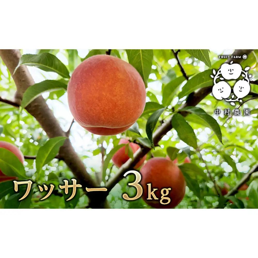 フルーツファーム中村農園　【8月下旬発送 先行予約】ワッサー 3kg | ワッサー 桃 ネクタリン 大玉