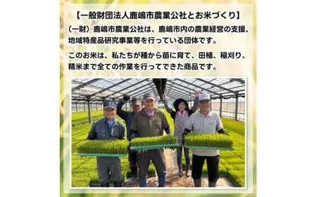 ★令和8年産 先行予約★ 数量限定 【3ヶ月定期便】 米 精米 白米 5kg (総計 15kg)「こしひかり」先行予約 鹿嶋市産【令和8年産 コシヒカリ 5キロ 15キロ お米 コメ ごはん ライス 