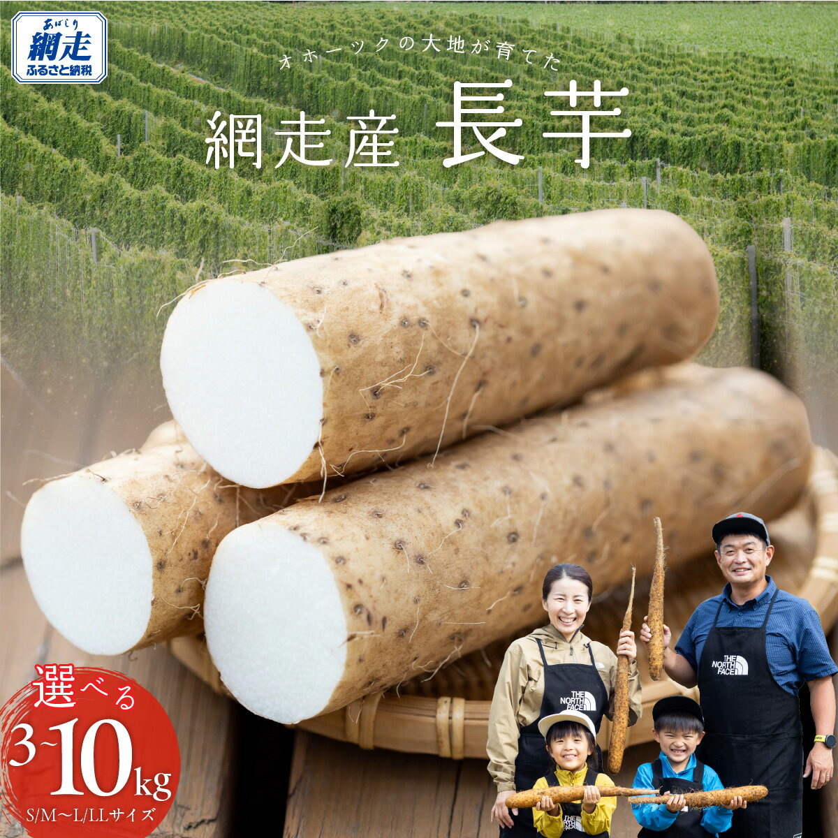 【ふるさと納税】 長芋 選べる3～10kg 【 ふるさと納税 人気 おすすめ ランキング 長芋 ながいも ミネラル とろろ オホーツク 北海道 網走市 送料無料 】 ABBX001-v