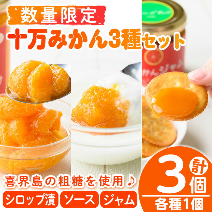 【ふるさと納税】≪毎月数量限定≫十万みかん加工品3種セット(シロップ漬け・ソース・ジャム各1個・計3個) 鹿児島 国産 九州産 フルーツ 柑橘 ミカン 蜜柑 調味料 シロップ漬 果実【田野農園】