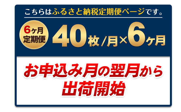 【6ヶ月定期便】訳あり一番摘み有明海産海苔40枚 《お申込み月の翌月から出荷開始》熊本県産（有明海産）全形40枚入り  ---fn_noritei_24_33000_40m_mo6num1---