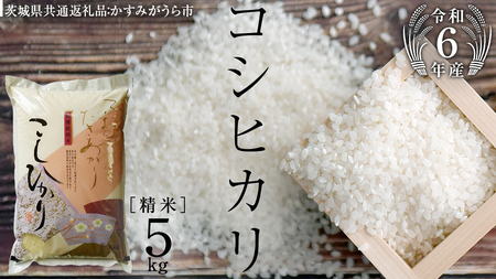 【 令和6年産 】 コシヒカリ 精米 5kg ( 5kg × 1袋 ) (茨城県共通返礼品 かすみがうら市) 米 ごはん もっちり 甘い コメ お米 白米 [EX001sa]