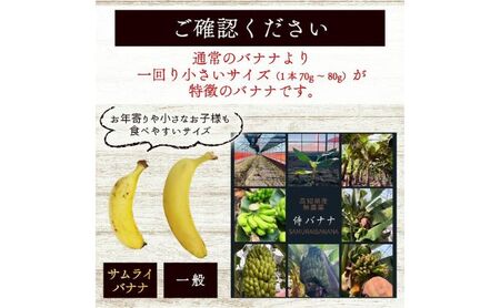 高知県産 侍バナナ｜無農薬・国産・農家直送 手のひらサイズ 3本 贈答用 バナナ フルーツ 果物 ギフト 冷凍フルーツ バナナ サムライ スムージー ふるさと納税