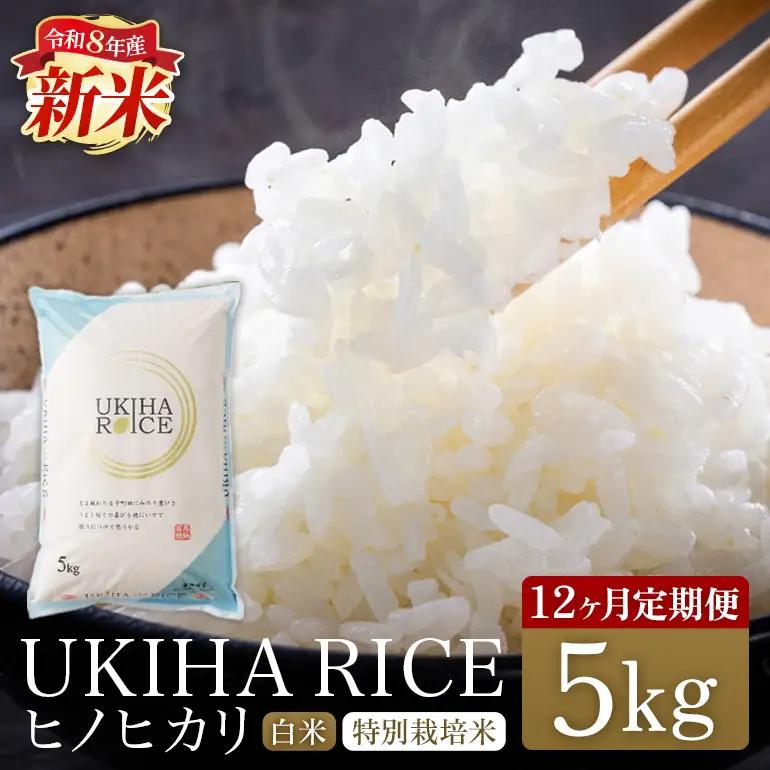 【12ヶ月定期便】 米 白米 精米 UKIHA RICE 5kg×12回 特別栽培米 計60kg ヒノヒカリ 令和8年産 新米 みずほファーム A06-009