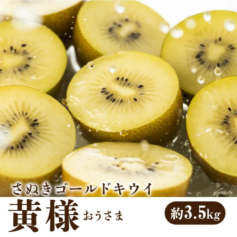 M02-0032_【ふるさと納税】【締め切り間近: 11月30日まで】【先行予約】 【配送不可地域：北海道・沖縄県・離島】さぬきゴールドキウイ 「黄様（おうさま）」 大玉約3.5kg  秋 旬