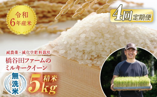 
《定期便4ヶ月》【先行予約】 令和6年産米 減農薬・減化学肥料栽培 ミルキークイーン 無洗米 5kg 米 お米 おこめ ご飯 ごはん 福島県 西会津町 F4D-0875
