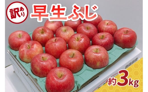 【2025年10月発送】 りんご 訳あり 早生 ふじ 約3kg 【 青森 林檎 フジ リンゴ ワケアリ 】