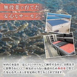 琴浦グランサーモン 1kg （500g×2P） 鳥取 活〆 冷蔵 生フィレ サーモン