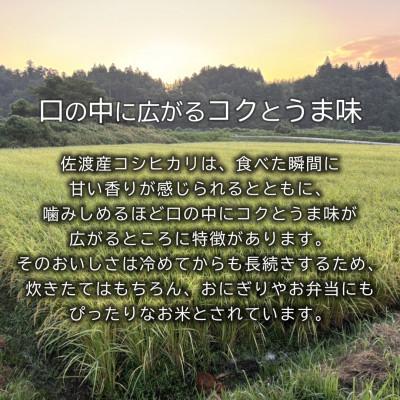ふるさと納税 佐渡市 北見農園の特別栽培米 令和7年 佐渡産コシヒカリ 3kg 農家自慢の逸品 精米 |  | 01