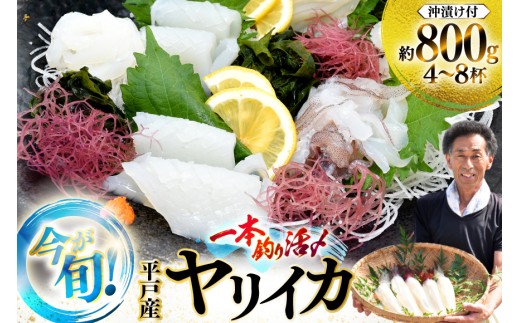刺身 鮮魚 今が旬の ヤリイカ （ 沖漬け 付）4～8杯 先行予約 [漁師の店満月 長崎県 平戸市 hr42bgy420484] おつまみ 海鮮 漬け さしみ 新鮮 いか 冷凍