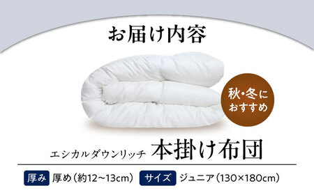 洗える 人工羽毛布団 本掛け布団 ジュニア エシカルダウンリッチ 広島県福山市/イシケン株式会社 羽毛 布団 ふとん 本掛け 掛け布団 掛布団 軽い 日本製 秋 冬 寝具 アレルギー対策 サステナブル