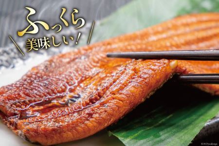 うなぎ 国産 蒲焼 白焼 計4尾 うなぎ(各130g以上×2)