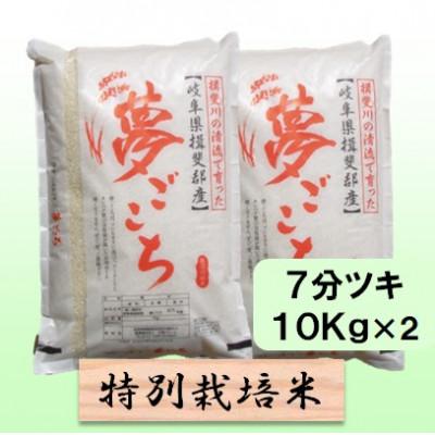 ふるさと納税 池田町 【令和8年産】特別栽培米 20kg【7分ツキ】(夢ごこち)