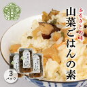 【ふるさと納税】山菜ごはんの素 200g×3パック 炊き込みご飯 混ぜご飯 山菜 わらび たけのこ ふき 世羅 A060-03