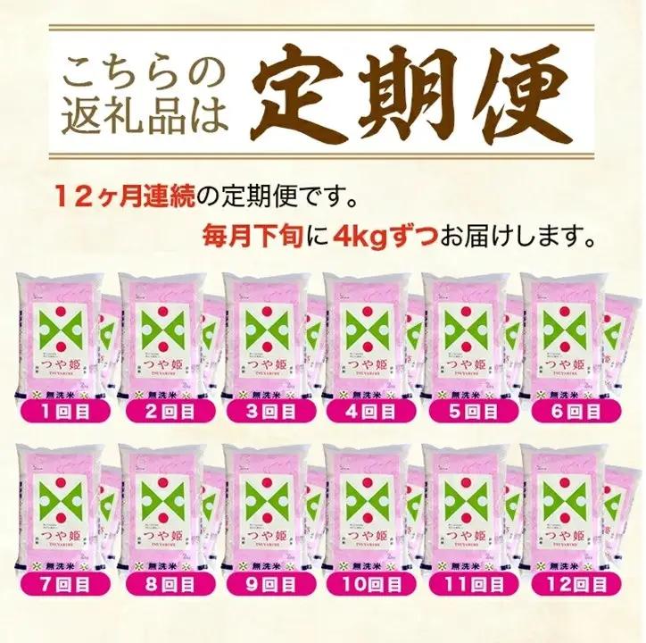 SQ0011　7月下旬発送開始／【12回定期便】無洗米 特別栽培米つや姫　4kg×12回(計48kg) TO