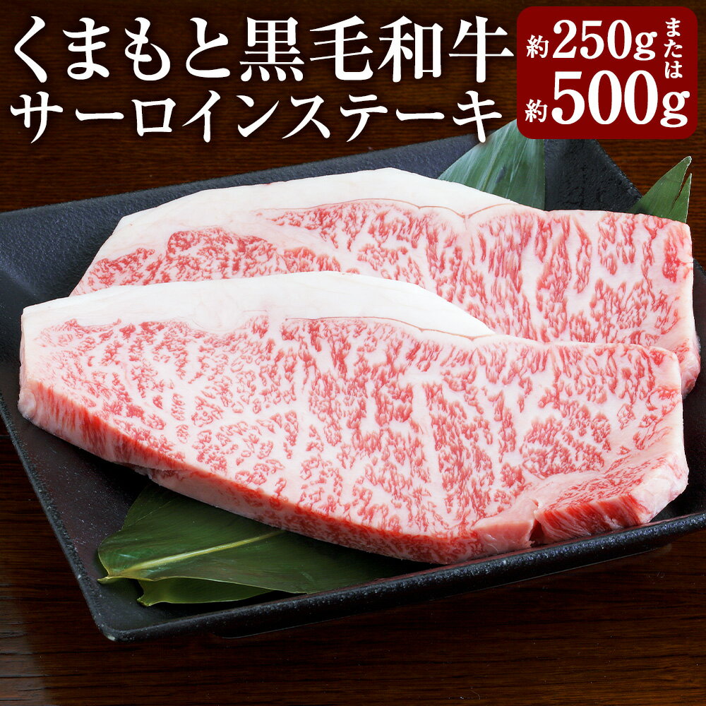 【ふるさと納税】＜選べる内容量＞くまもと黒毛和牛 サーロインステーキ 約250g×1枚 / 計約500g（約250g×2枚） 和牛 牛肉 お肉 サーロイン ステーキ 冷凍 熊本県産 国産 九州 熊本県 あさぎり町 送料無料