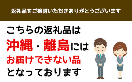 京都三和・丹波ぶどう＜マスカットベリーA＞ほしぶどう（ドライ）　100g　3パック ふるさと納税 ドライフルーツ ほしぶどう 干しブドウ レーズン ドライレーズン 三和ぶどう マスカットベリーA 10