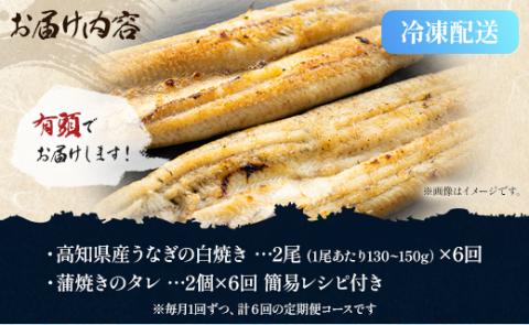 【6ヶ月定期便】高知県産うなぎの白焼き 合計12尾 (2尾260g以上×6回) タレ付き エコ包装 - 鰻 ウナギ しらやき 有頭 つまみ ご飯のお供 ごはん 丼 たれ 簡易 Wyw-0069