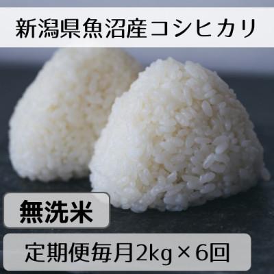 ふるさと納税 十日町市 【毎月定期便】新潟県魚沼産コシヒカリ「山清水米」無洗米2kg全6回