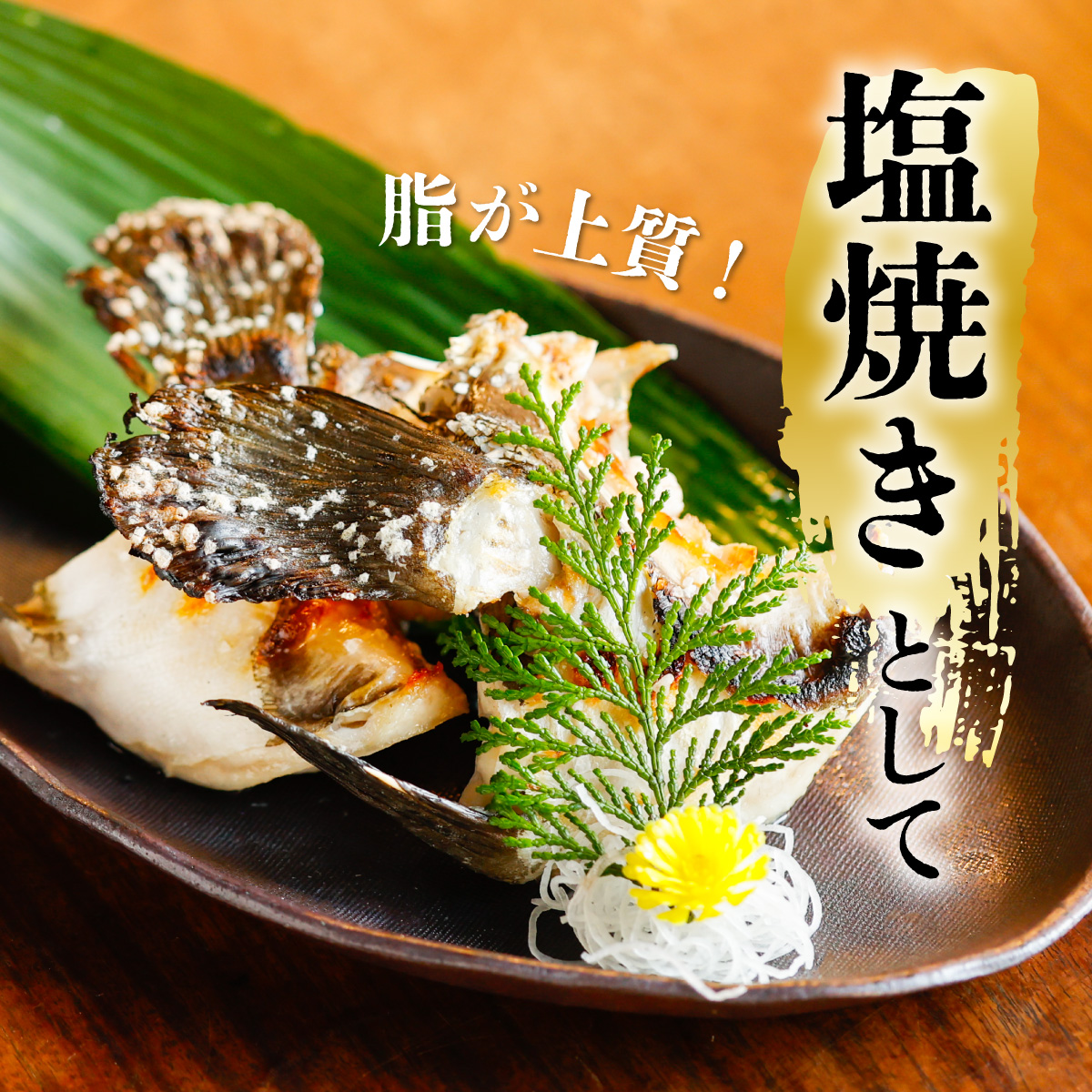 クエ 活き締め 4.5〜6kg 本クエ アラ 鮮魚 クエ鍋 高級 高級魚 産地直送 冷蔵 養殖 国産 九絵