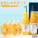 【ふるさと納税】＜まるじゅれセット MJ-1＞ 温州みかん いよかん ミカン 飲むゼリー ジュレ オレンジ ジュース デザート スイーツ あけはまシーサイドサンパーク 贈答用 愛媛県 西予市【常温】『1か月以内に順次出荷予定』