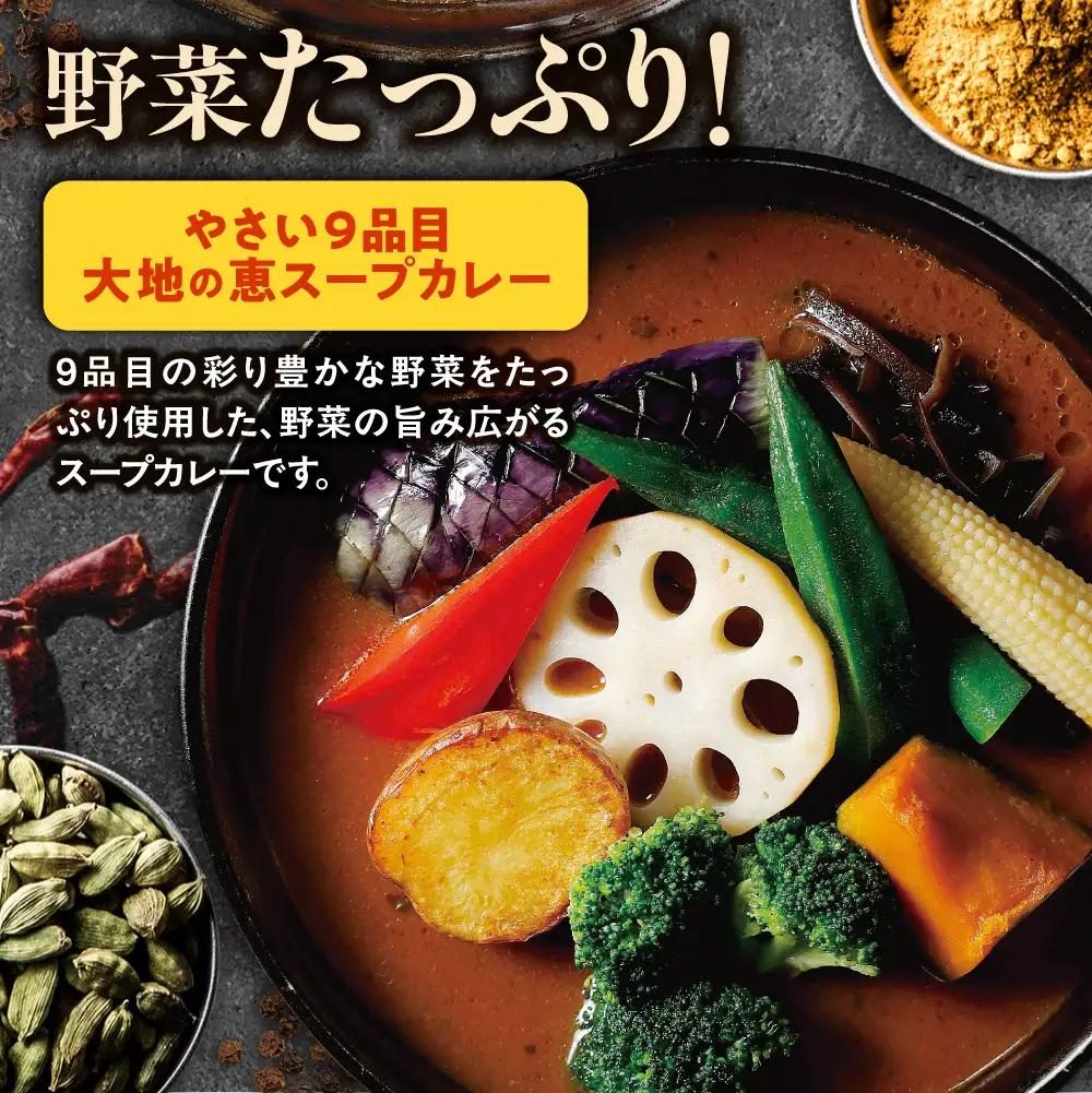 家GARAKU やさい9品目大地の恵スープカレー | スープカレー GARAKU 札幌スープカレー カレー 北海道 札幌市