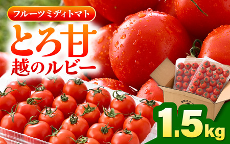 【先行予約】 とろ甘 越のルビー 1.5kg 高糖度ミディトマト とまと 【2026年6月下旬以降順次発送予定】 [A-21702]