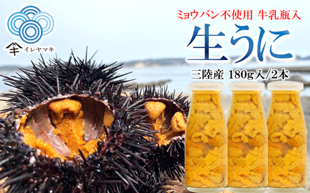 「先行予約」2026年発送分 ミョウバン不使用 牛乳瓶入 生うに 180g×3本