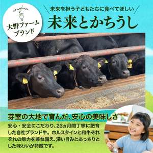 レビューキャンペーン実施中！ビーフシチュー 360g × 2個 ビーフカレー 220g × 2個 セット 未来とかち牛 100％ 使用 レトルト 時短 お取り寄せ グルメ 送料無料 北海道 十勝 芽室