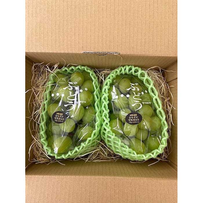 【ふるさと納税】朝採り 旬のぶどう シャインマスカット 2房セット 1.0kg～1.2kg【2026年発送】 | 甲賀市 朝採り 果物 高糖度 シャインマスカット ぶどう フルーツ 果物セット ギフト 人気 おすすめ 産地直送 新鮮 果物 お取り寄せ 通販 送料無料 ふるさと納税