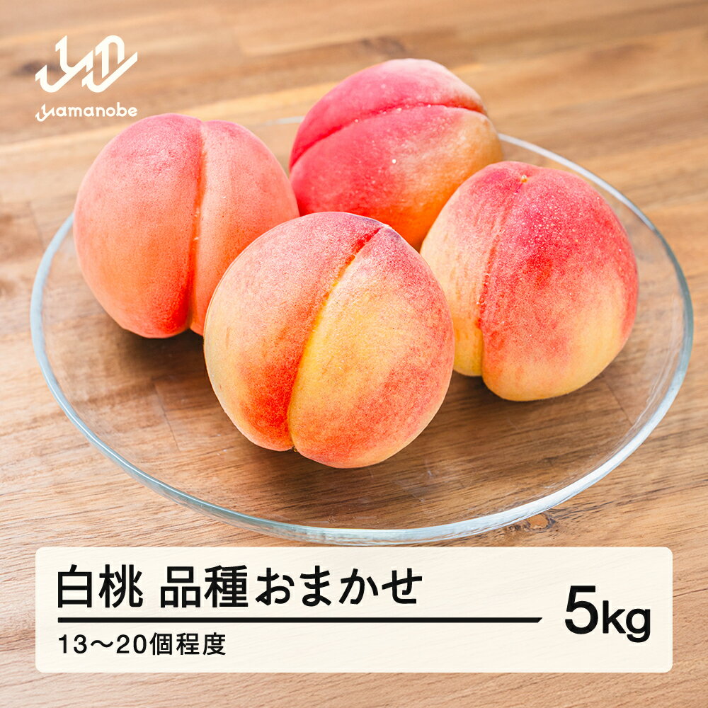 【ふるさと納税】【先行予約】もも 白桃 品種おまかせ 約5kg 令和8年産 2026年産 山形県産 果物 送料無料 mm-mokox5000 ※沖縄・離島への配送不可