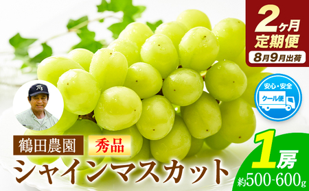 【2ヶ月定期便】【秀品】先行予約 シャインマスカット 約500-600g (1房) /月×2回 フルーツ 果物 送料無料 葡萄 ぶどう マスカット 鶴田農園 熊本県荒尾市産《8月下旬-9月下旬頃出荷》 美味しいシャインマスカット 旬のシャインマスカット ジューシーシャインマスカット フルーツシャインマスカット