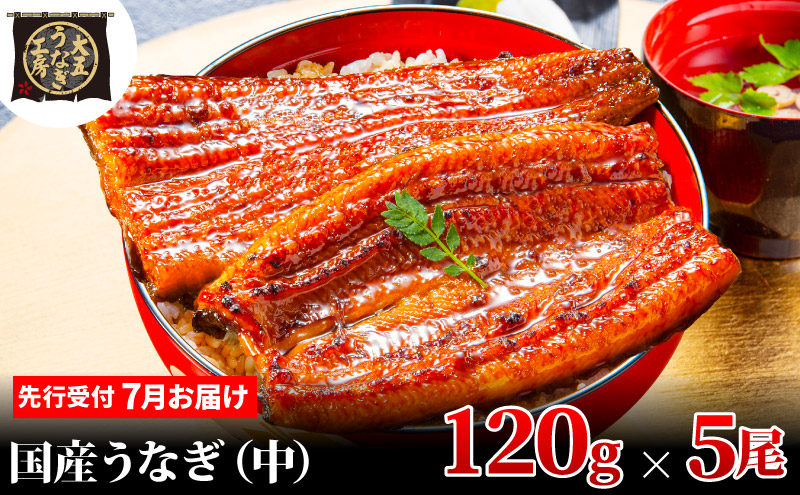 
                  [№5695-1933]先行受付 【7月上旬配送】 うなぎ蒲焼 120g×5尾(600g) うなぎ 鰻 蒲焼 蒲焼き 大五通商 静岡 島田市
                