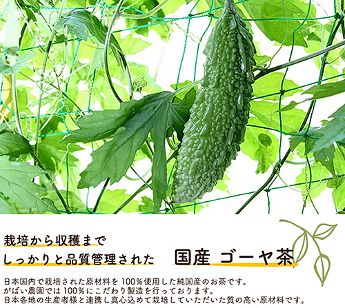 国産 ゴーヤ茶（3個セット）：B210-007_イメージ4