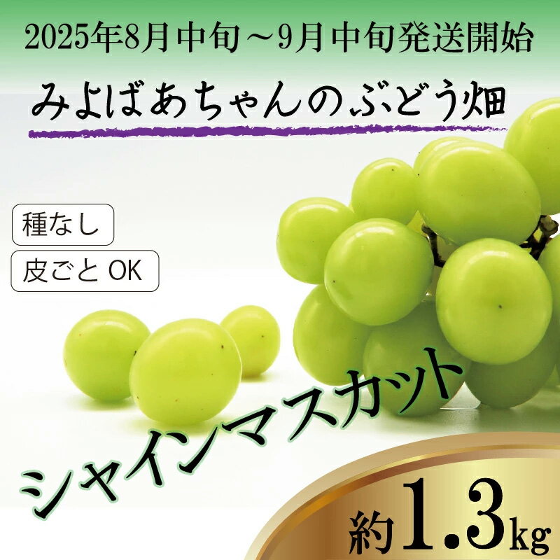 【ふるさと納税】＜みよばあちゃんのぶどう畑直送！＞ 先行予約 8月中旬～9月中旬順次発送【露地栽培のシャインマスカット 約1.3kg】[M36-2] 葡萄 ブドウ ぶどう 巨峰 果物 くだもの マスカット フルーツ 新鮮 九州 福岡 宮若