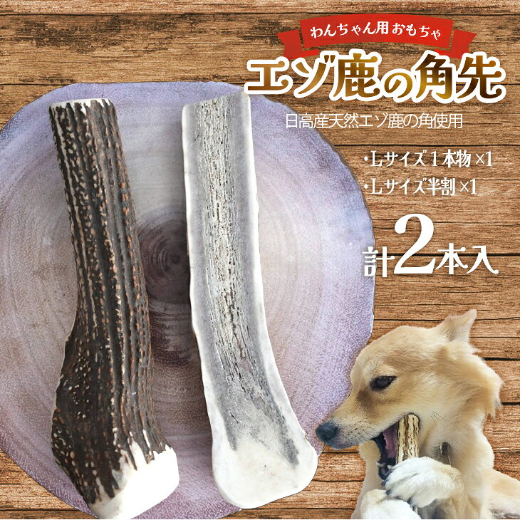 【ふるさと納税】エゾ鹿の角 Lサイズ1本と半割1本のセット[54-1534] 北海道 浦河 ふるさと納税 鹿の角 鹿 天然 犬用 わんちゃん おもちゃ 玩具 デンタルケア 大型犬 Lサイズ 送料無料