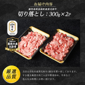 鹿児島県長島町産 黒毛和牛切り落とし (計600g・300g×2P) 牛肉 切り落とし 小分け 黒毛和牛 鹿児島 和牛 切り落とし 牛切り落とし 【宮路ファーム】f-miyaji-572｜ 牛肉 切り