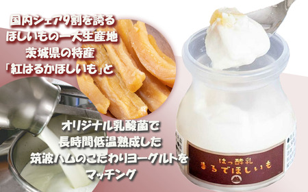【筑波ハム】まるでほしいも×3個セット1箱【 ヨーグルト ヨーグルト ヨーグルト ヨーグルト ヨーグルト 】