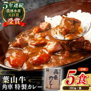 【ふるさと納税】国産 和牛 A5ランク 葉山牛入り角車カレー 1人前 200g × 5パック 牛肉 黒毛和牛 レトルトカレー 肉 カレー レトルト レトルト食品 ビーフカレー 【葉山牛ステーキレストラン 角車】[ASBD011]