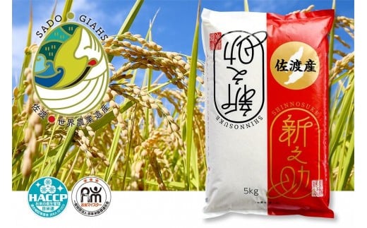 
            新潟県佐渡市産 新之助 精米 5kg【令和7年米】
          