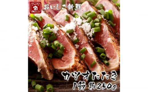 カツオたたき1節 大きいサイズ 約250g 【興洋フリーズ株式会社】 [ATBX063] かつお 鰹 カツオ たたき カツオたたき タタキ かつおのたたき かつおのタタキ カツオのたたき 高知市 高知