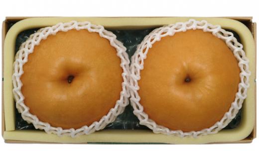 梨 2025年 岡山県産 あたご梨 約1.5kg 2玉 お届け 11月下旬～12月中旬