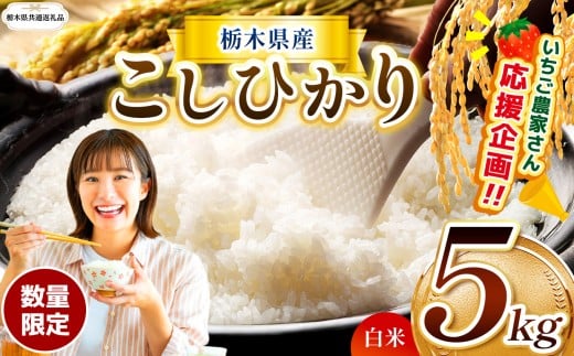 【栃木県共通返礼品】数量 限定 訳あり令和7年度 栃木県産 コシヒカリ 約 5kg | 数量限定 こしひかり  精米 白米 米 ごはん おいしい  密閉パック ふるさと納税 那珂川町 栃木県