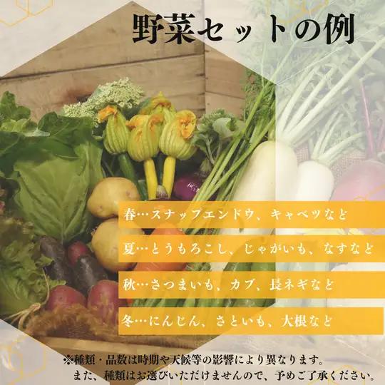 【定期便9回】季節の野菜セット（6～7品）