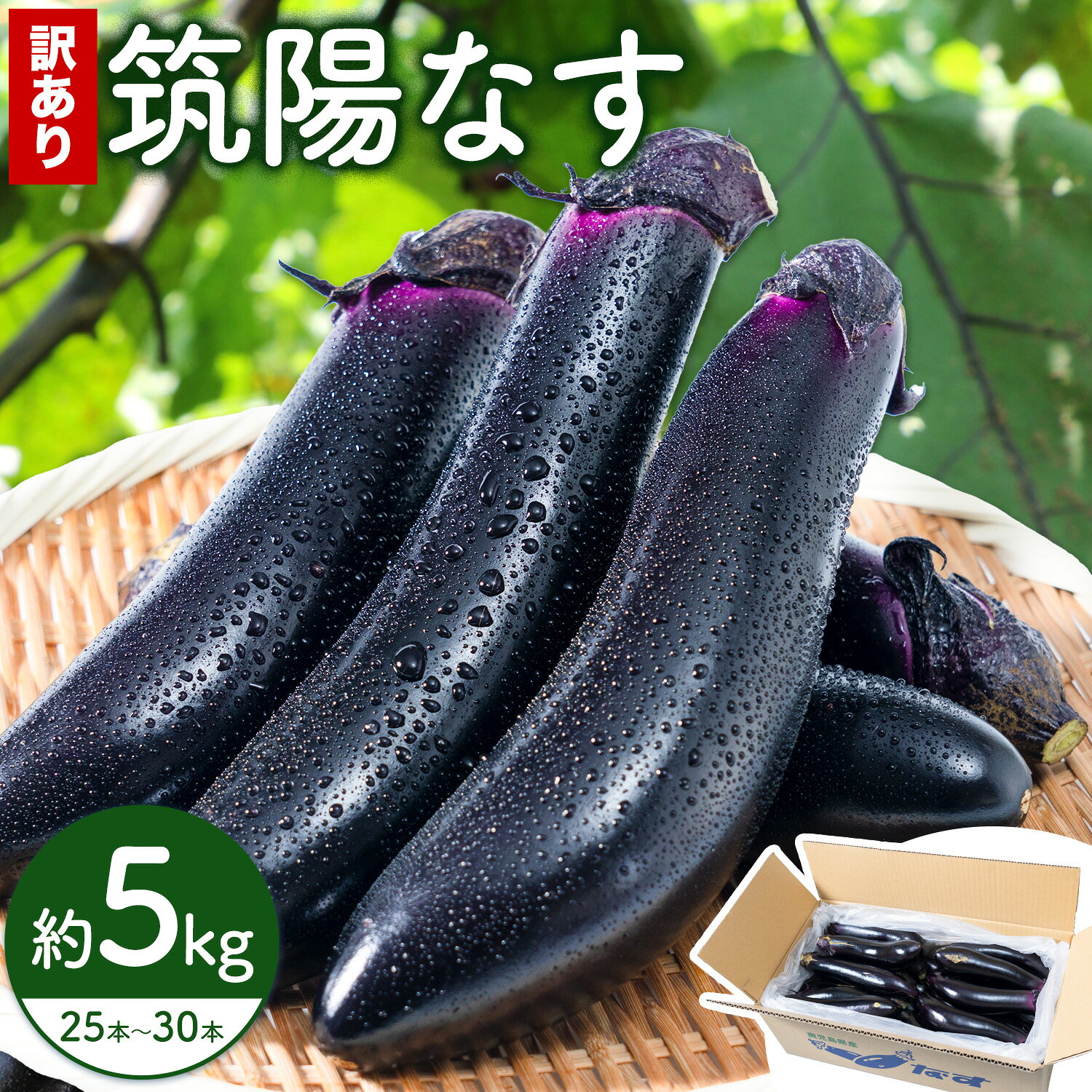 【ふるさと納税】訳あり 筑陽なす 約5kg 25-30本 さつま園芸組合《7月上旬-9月末頃出荷》鹿児島県 さつま町 茄子 なす ナス なすび 野菜 訳アリ ご家庭用