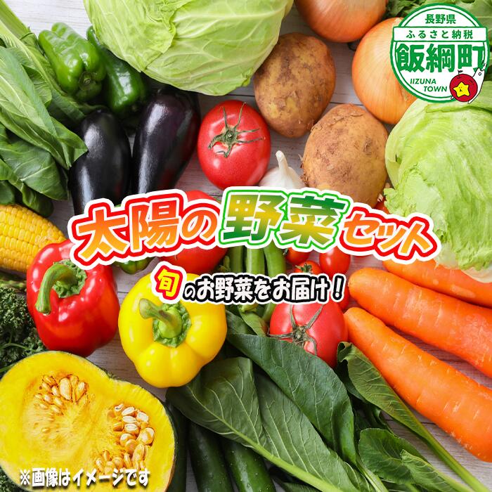 【ふるさと納税】 太陽の野菜セット 配送先は本州限定 【 季節ごと旬の野菜 80サイズ段ボール1箱分 】( 化学肥料 除草剤 不使用 )〔 野菜 詰め合わせ 野菜 セット 信州 長野 飯綱町 17000円 〕 発送時期：2026年7月中旬〜2026年11月上旬