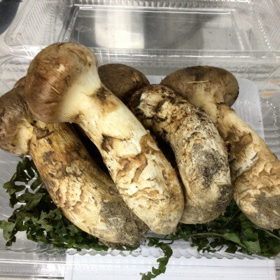 【ふるさと納税】岩手県産　天然松茸　200g【ミックスサイズ・数量・期間限定】【配送不可地域：離島・沖縄県・九州】【1658903】